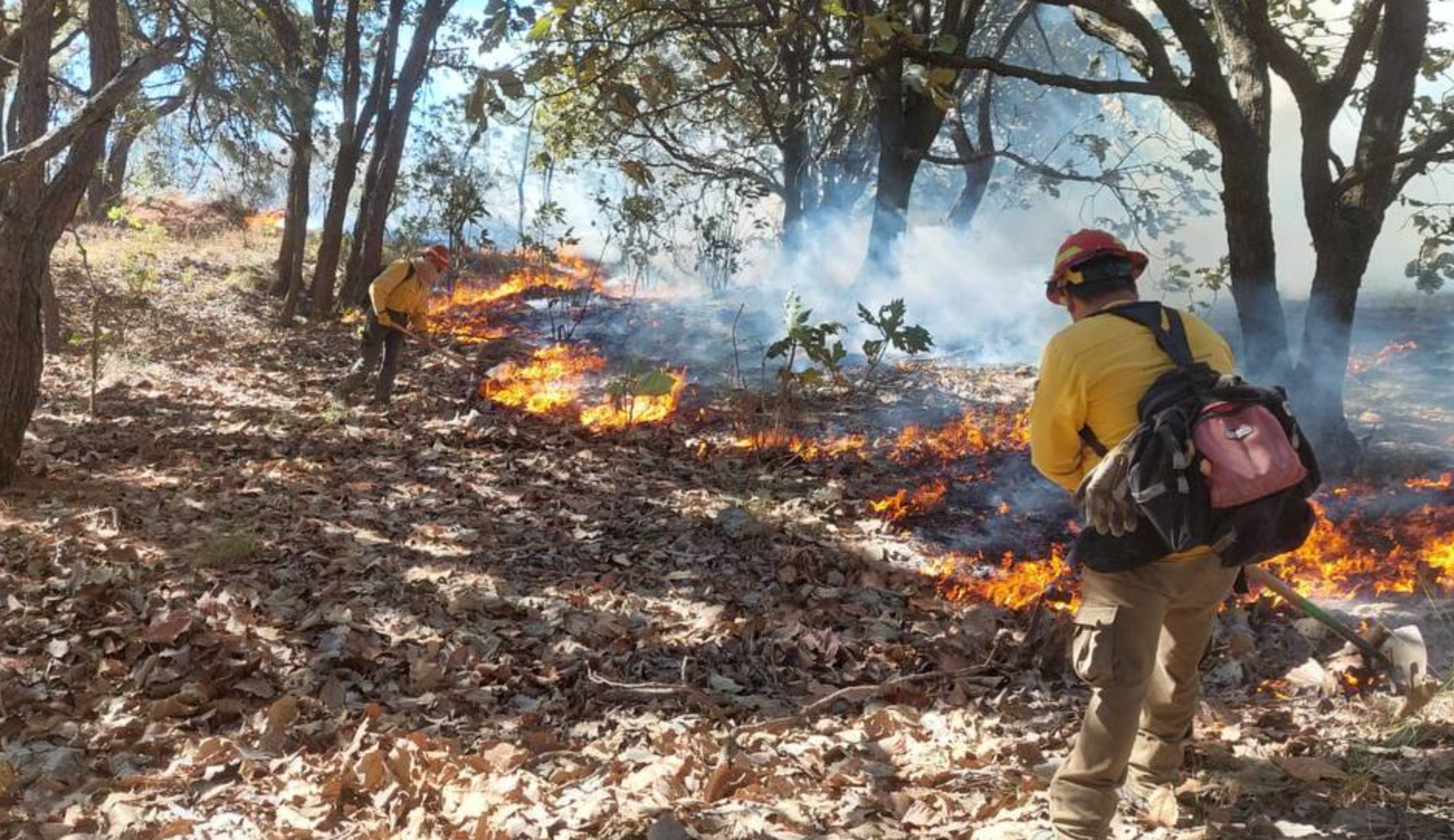 Se prepara Jalisco en prevención ante temporal de estiaje